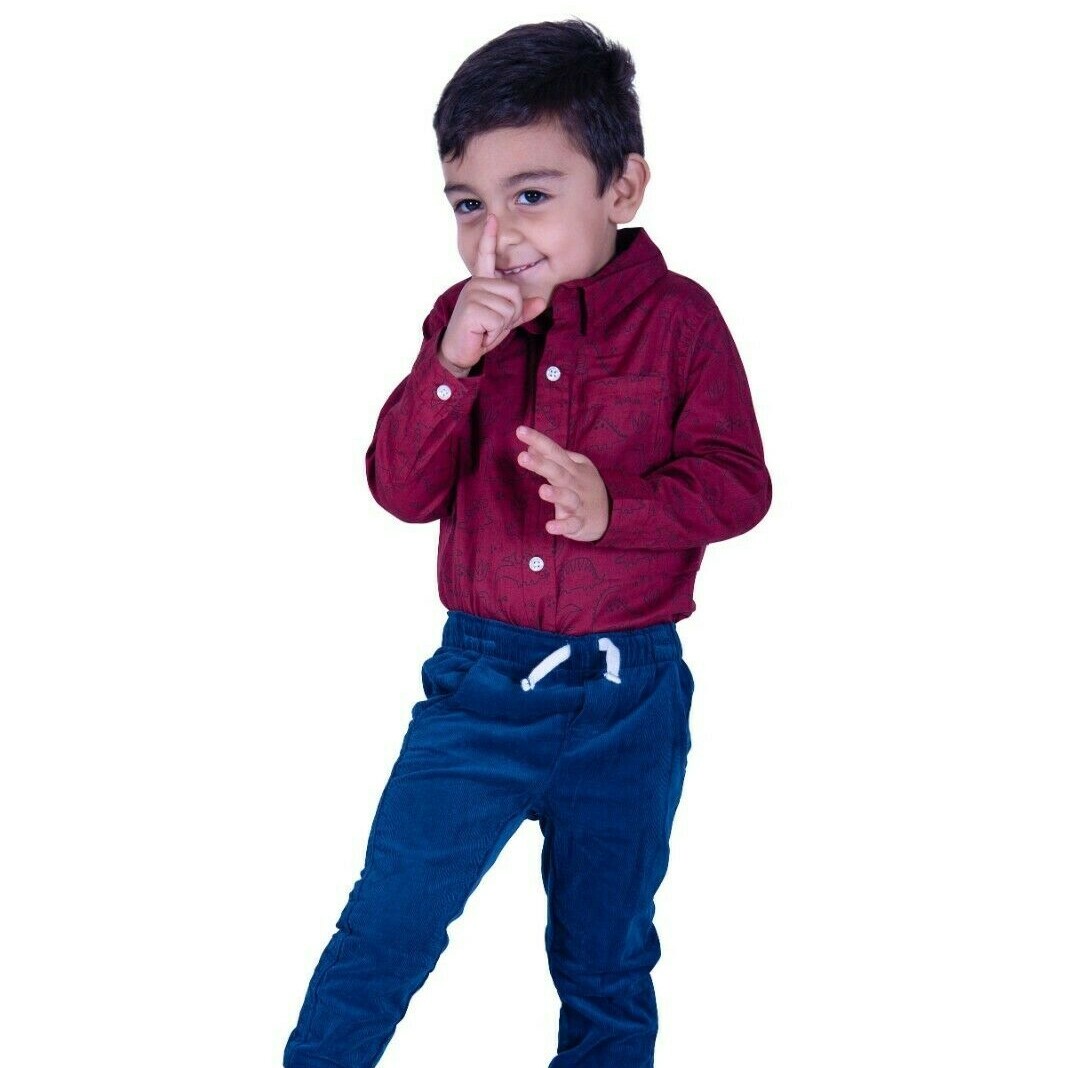 toddler clothes 2T, 3T, 4T boys, Dress Outfit Red, Burgundy, Blue, Dinosaur.