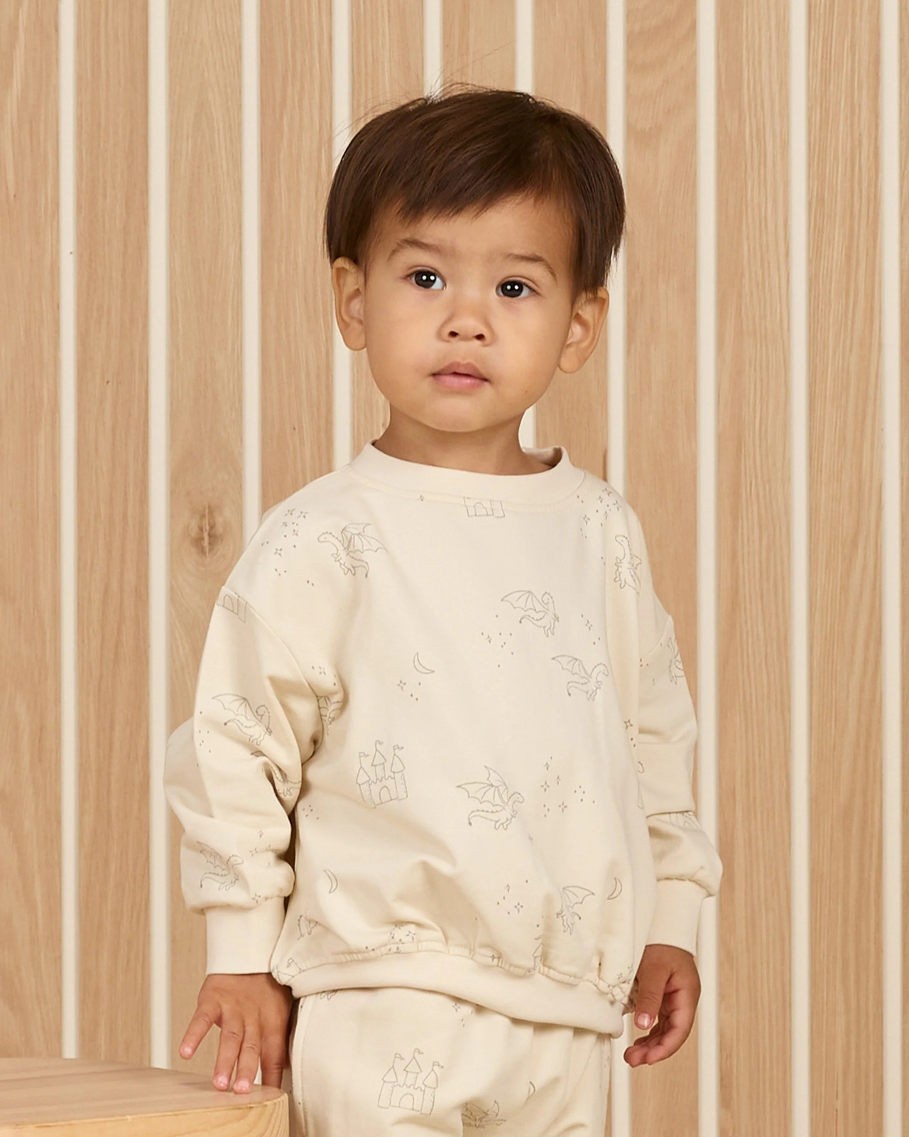 Quincy Mae Relaxed Sweatshirt Dragons 2-3 Years Toddler Top Soft Comfortable