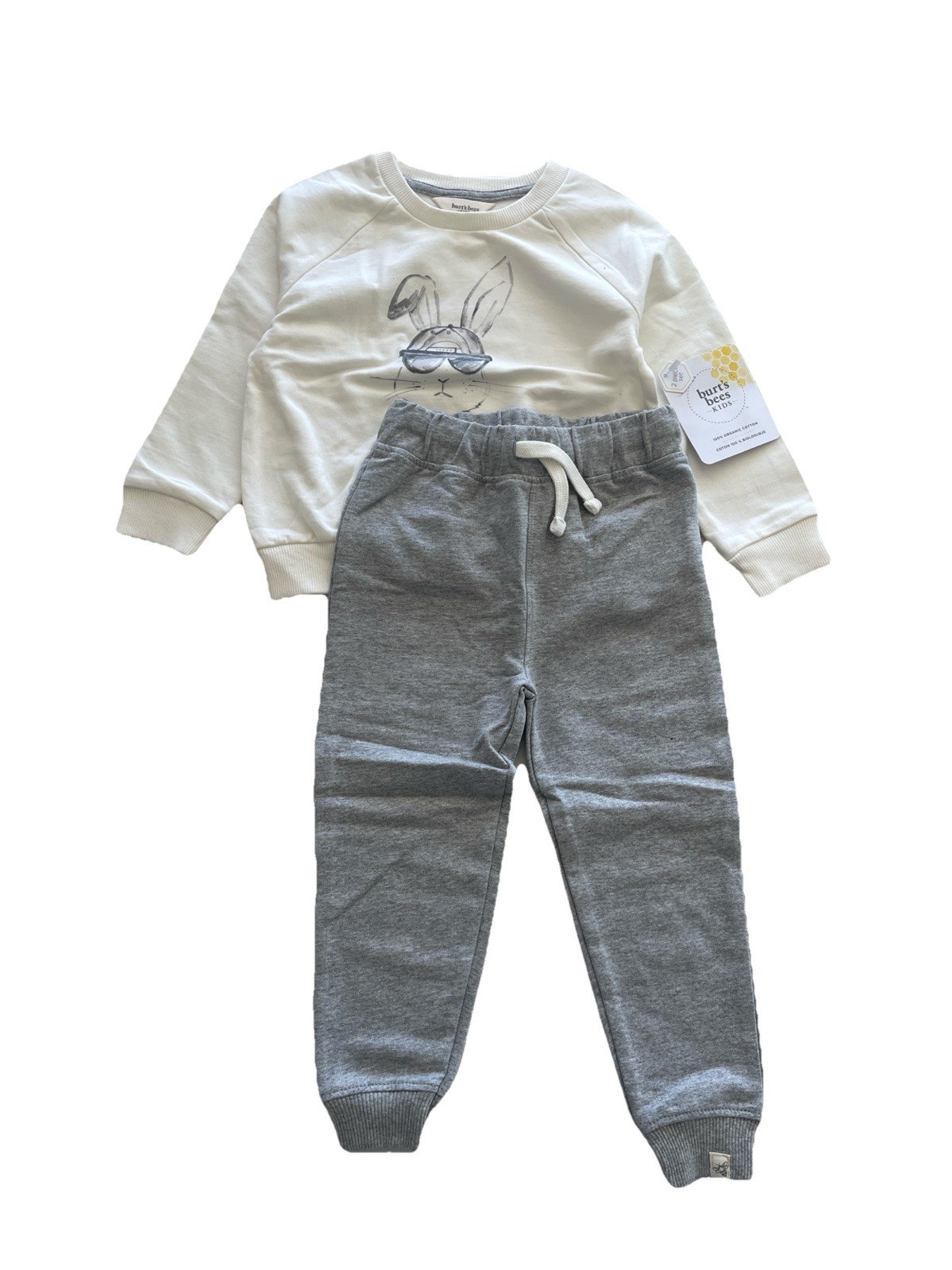 Burt Bees Baby hip hop bunny sweatshirt & pants set size 2T