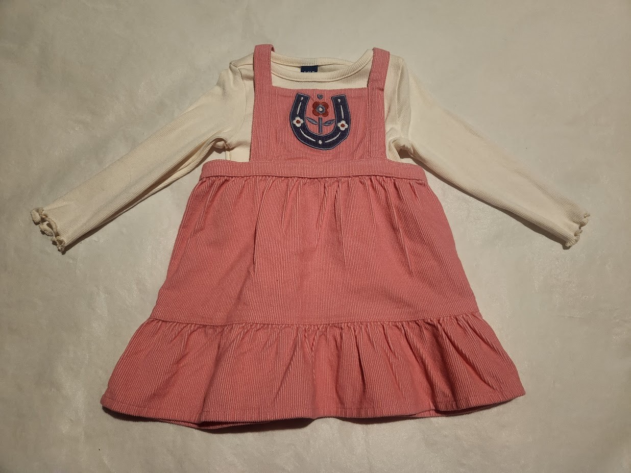 NWT Old Navy Rib Knit Top Embroided Corduroy Jumper Dress Outfit 2PC Baby Girl