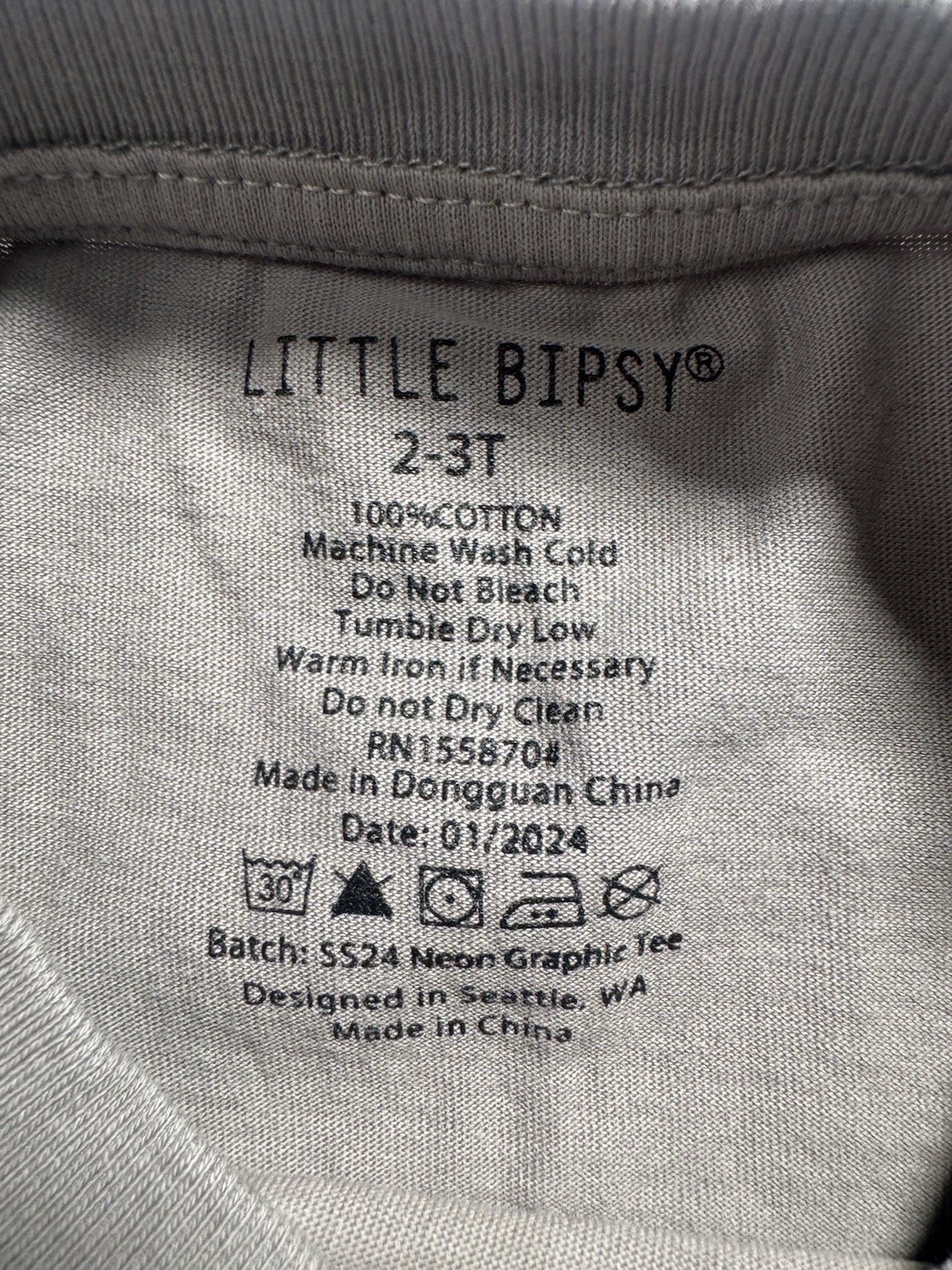 Little Bipsy 2 Piece Outfit Set 2-3T Palm Tree Graphic Tee Cargo Shorts