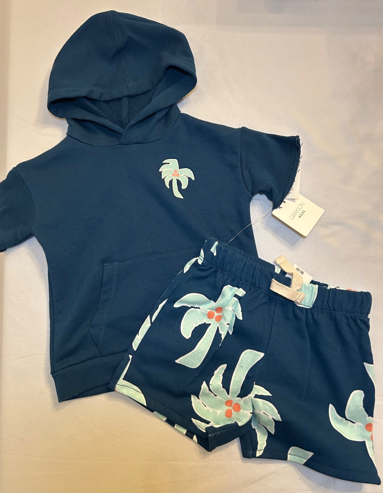 Grayson Mini Toddler Size 2T 2-piece Outfit Shorts & Top Blue Palm Trees – NEW