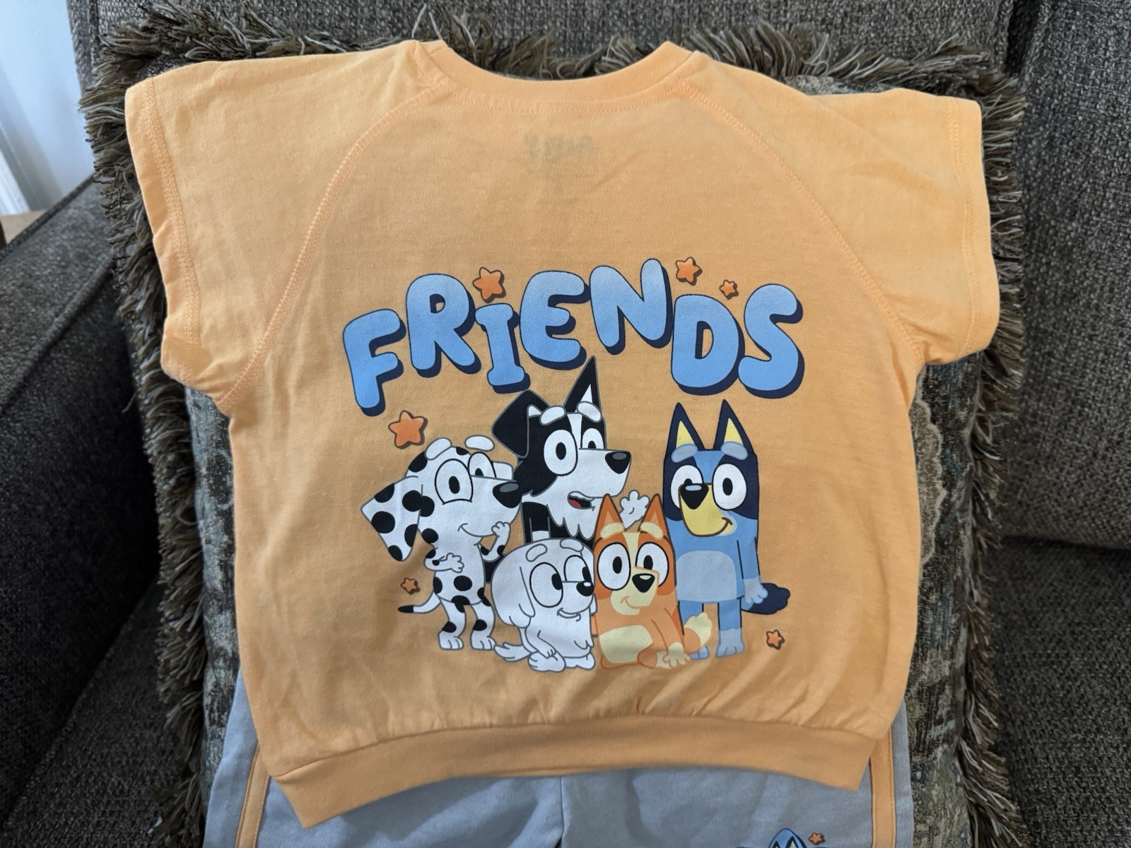 Bluey Top & Shorts Girls 3T NWT See Description
