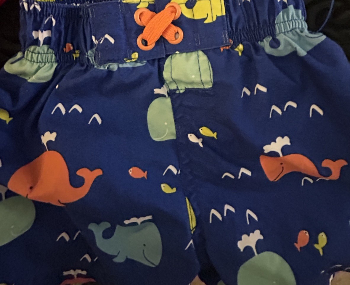 Baby Gift Set “Little Firecracker” Beach Short set 9-12 months, Summer Baby