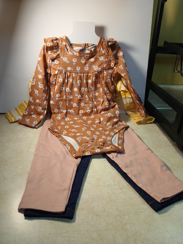 Carter Girls Clothes Size 18 Months 4 Piece Set (2 Pants, 2 Long Sleeve Onsies)