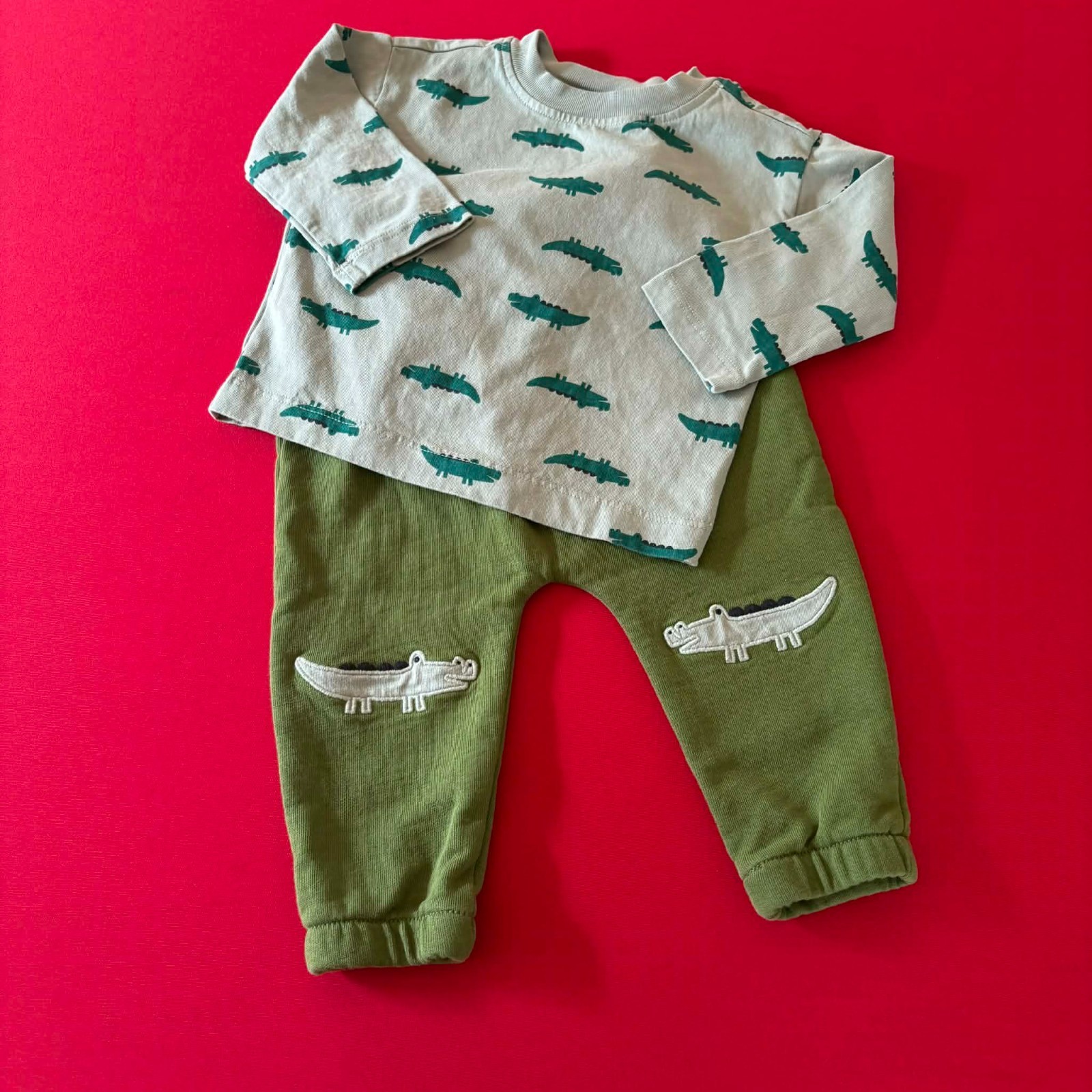 Hanna Andersson T-Shirt & French Terry Sweatpants Set. Size 12-18 Months, 75 cm