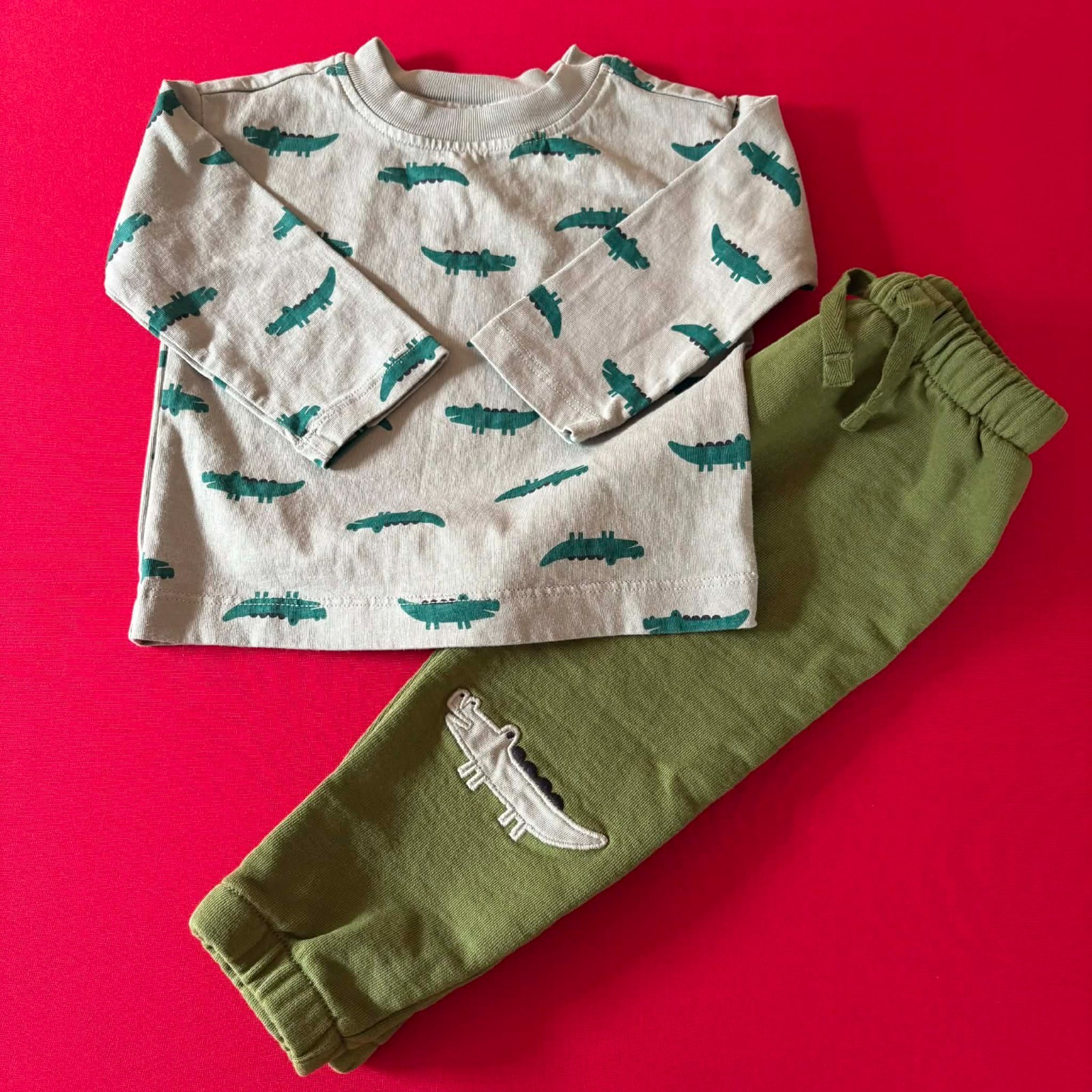 Hanna Andersson T-Shirt & French Terry Sweatpants Set. Size 12-18 Months, 75 cm
