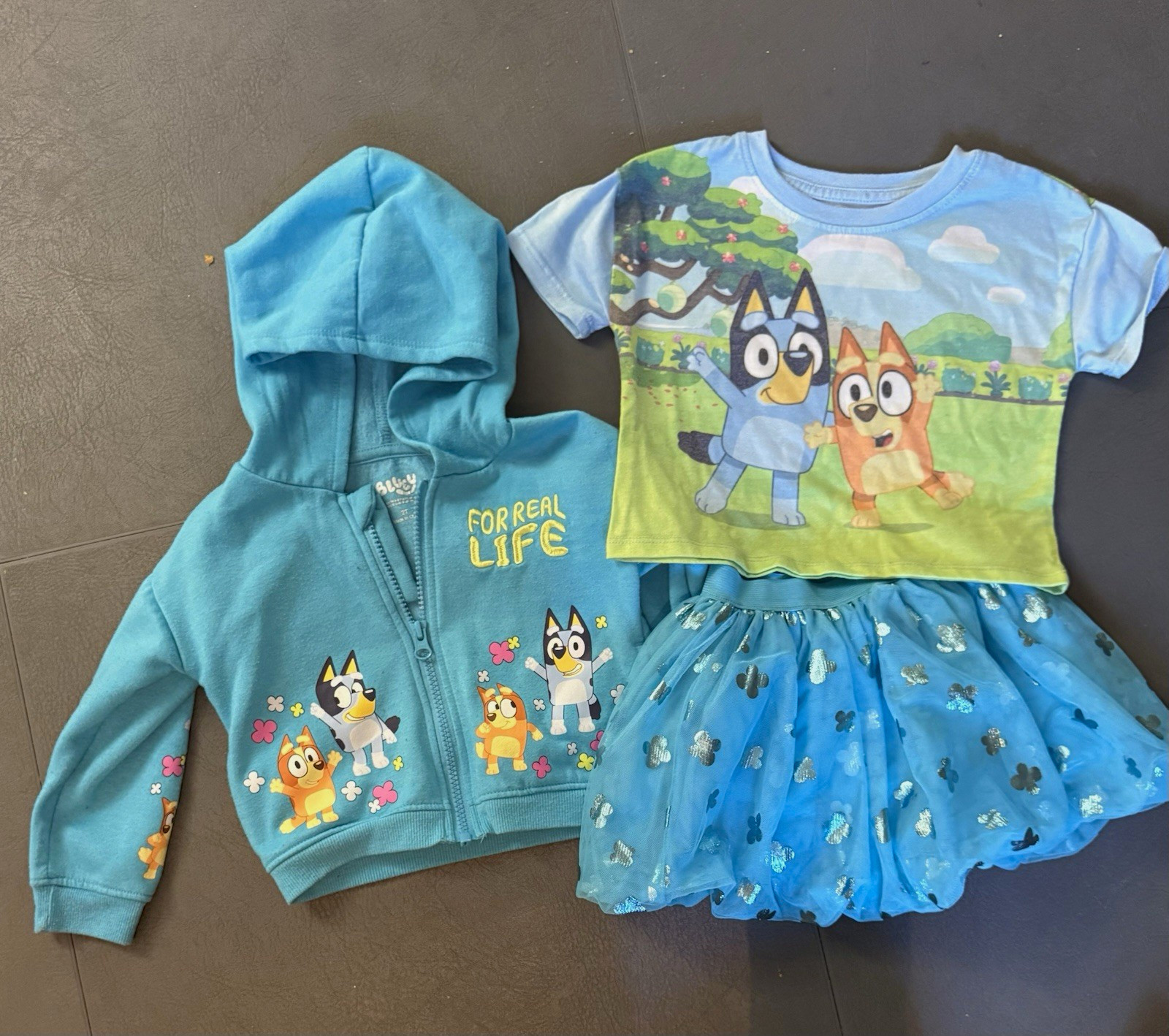 Bluey Girls 2T 3pc Zip Hooded Hoodie Tee & Tulle Skirt Set Bluey Bingo