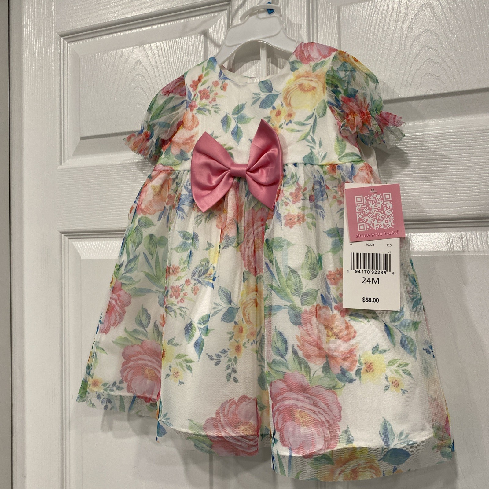 Baby 24 Mths Dress W Panty-Rare Editions-pink Ivory Floral Sheer-lined-NWT