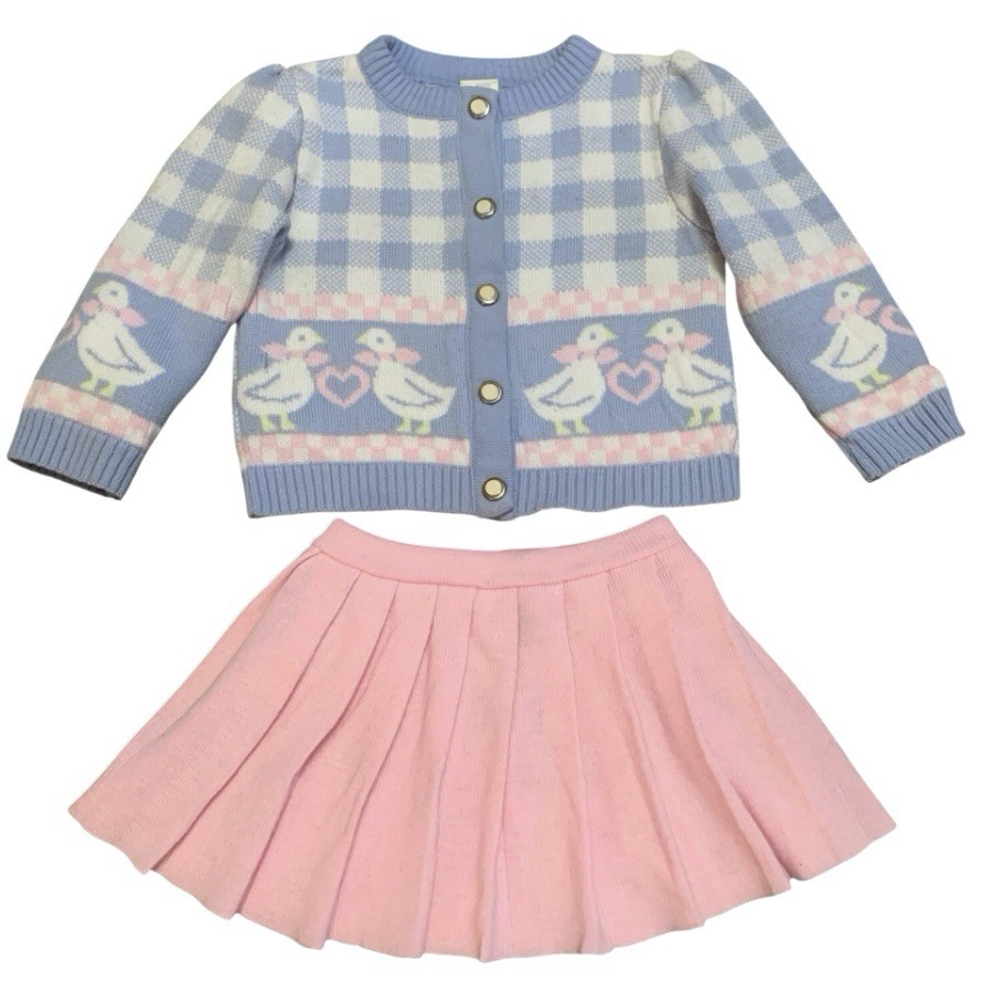 Vintage Toddler Girls Duck Sweater And Skirt Set Size 2T Pink Blue