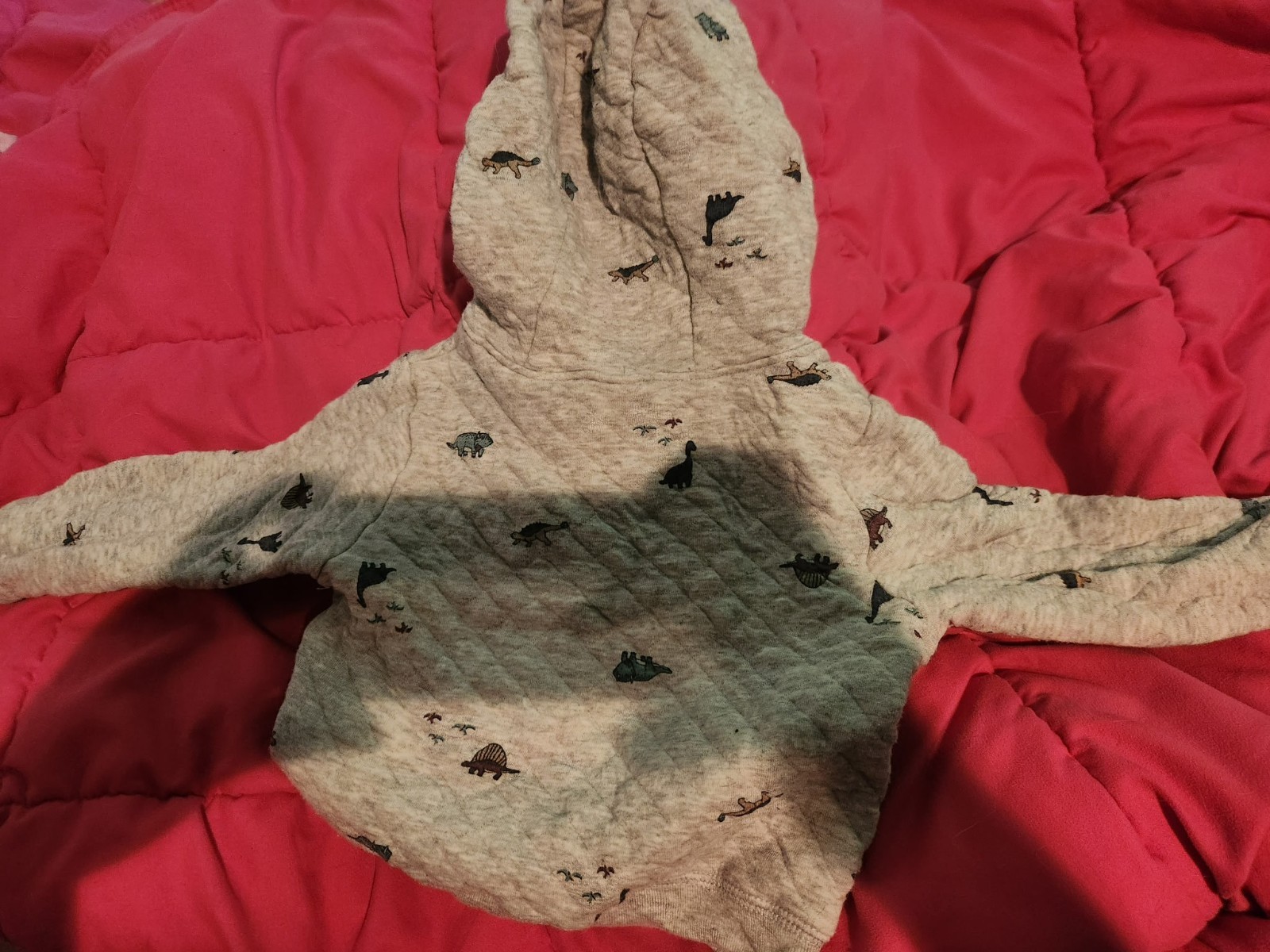 baby boy dinosaur hoodie 12 months
