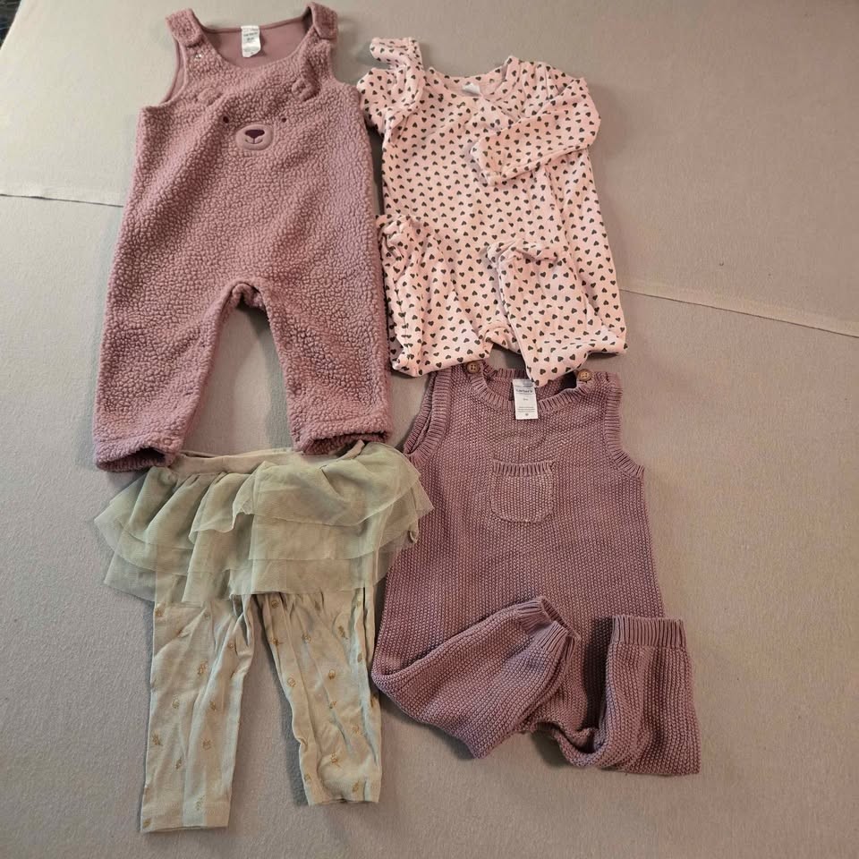 Baby Girls 9-12mo Clothes Bundle Carter’s Nordstrom Hurley Burts Bees More[760]