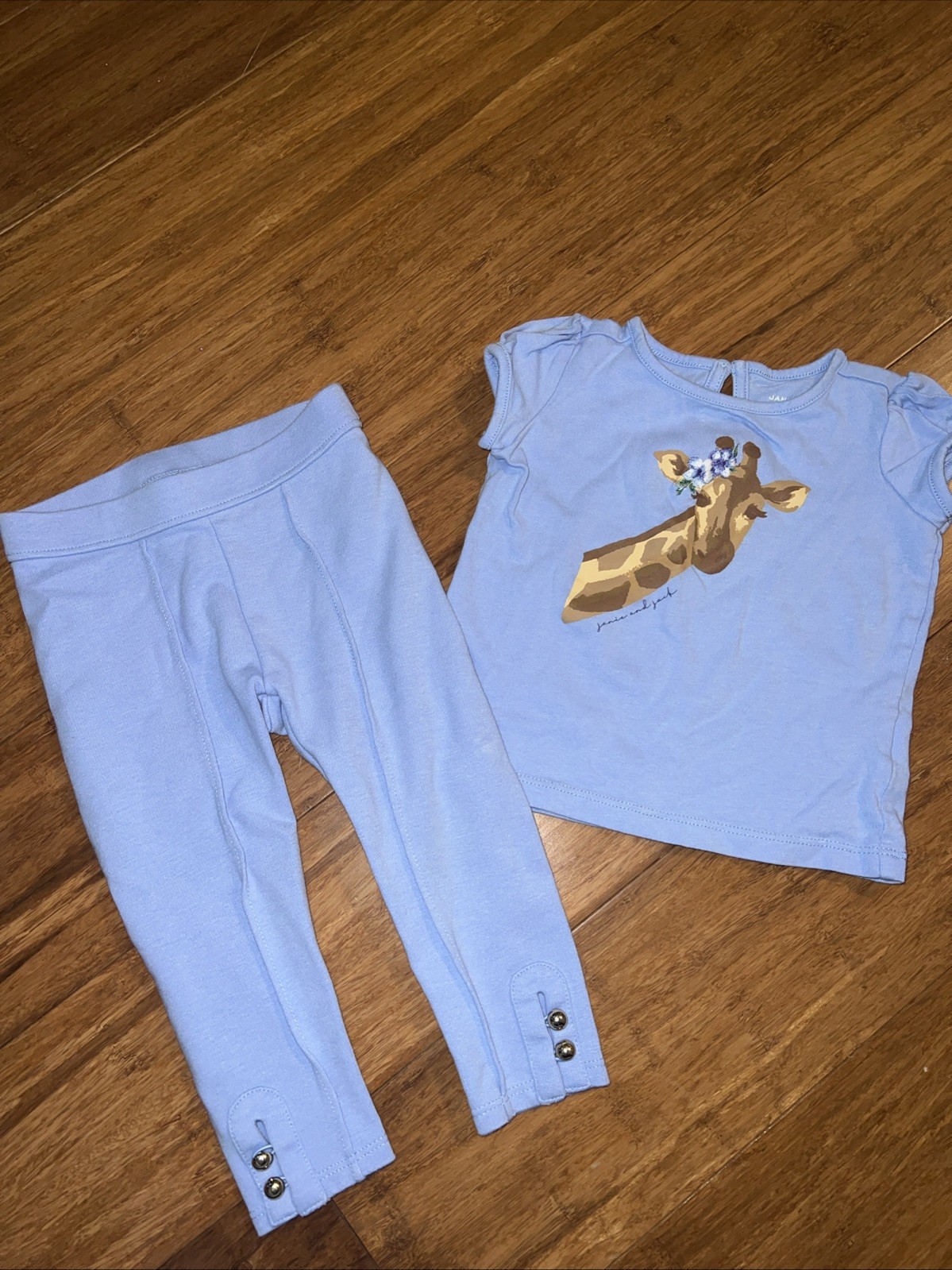 Janie And Jack Giraffe Top With Matching Leggings Size 12-18 Months