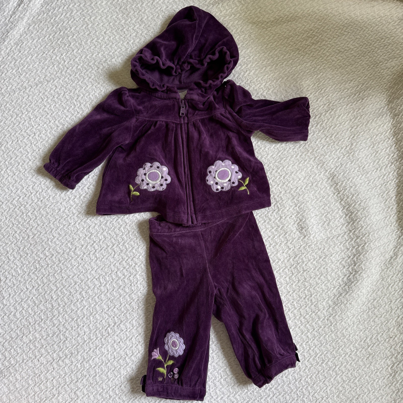 Gymboree 2013 Squirrel Cutie velour zip hooded jacket pants set 3-6M