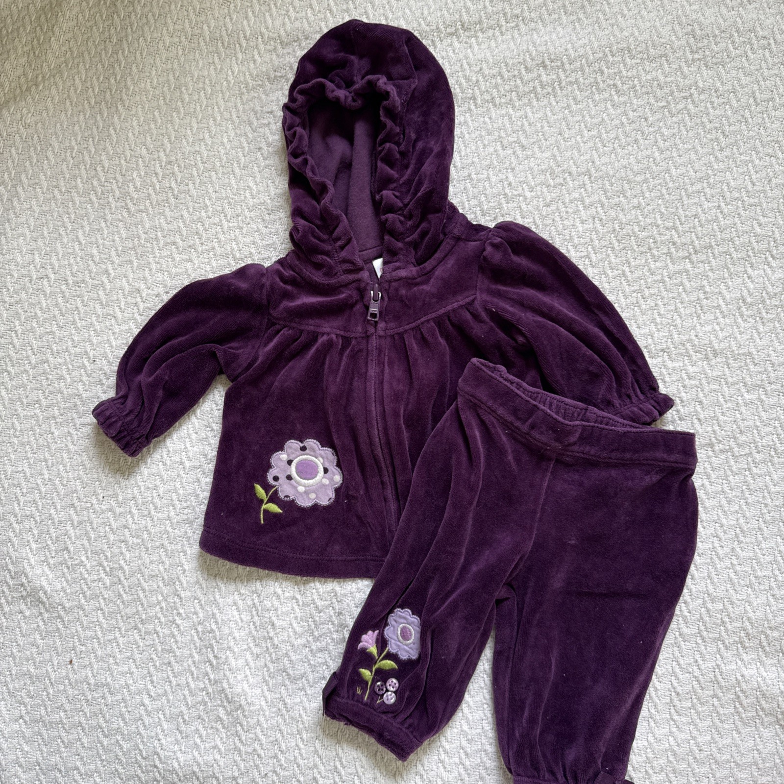 Gymboree 2013 Squirrel Cutie velour zip hooded jacket pants set 0-3M