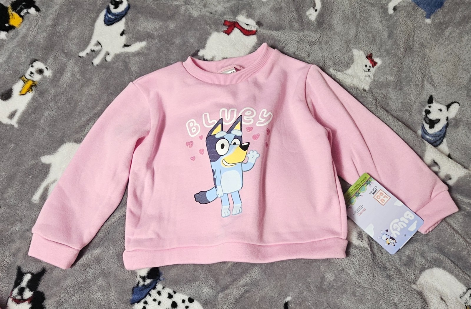 Bluey Sweatsuit – Bluey – Size 24M – NWT