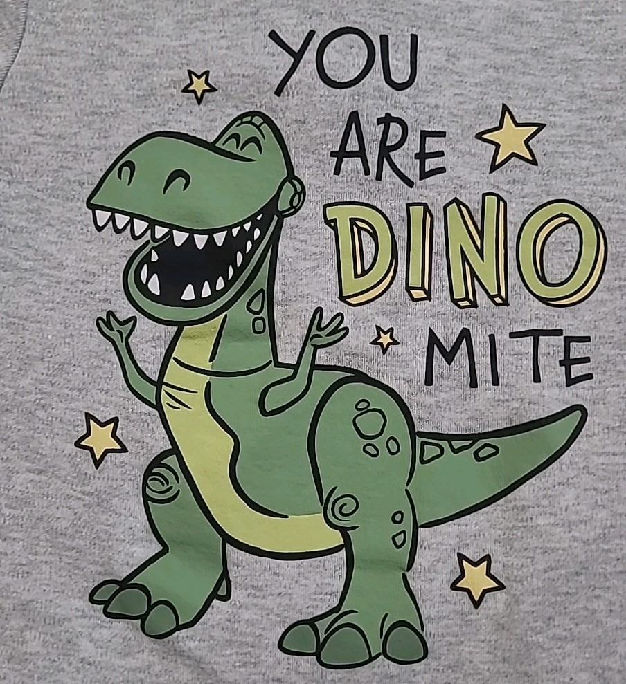 9PC Baby Boys Size 18/18-24 Months Short Sleeve Shirts Shorts Pants Dinosaurs