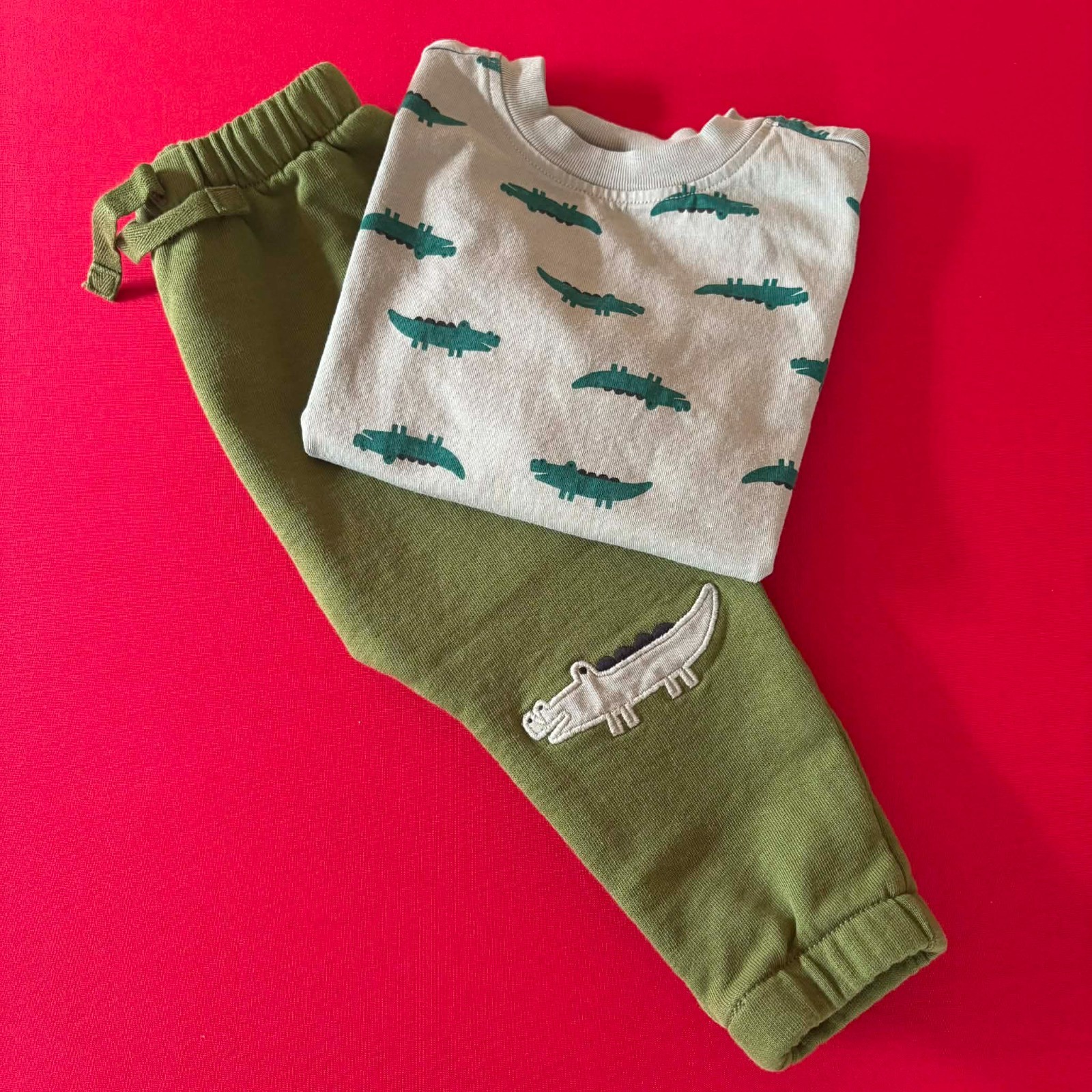 Hanna Andersson T-Shirt & French Terry Sweatpants Set. Size 12-18 Months, 75 cm