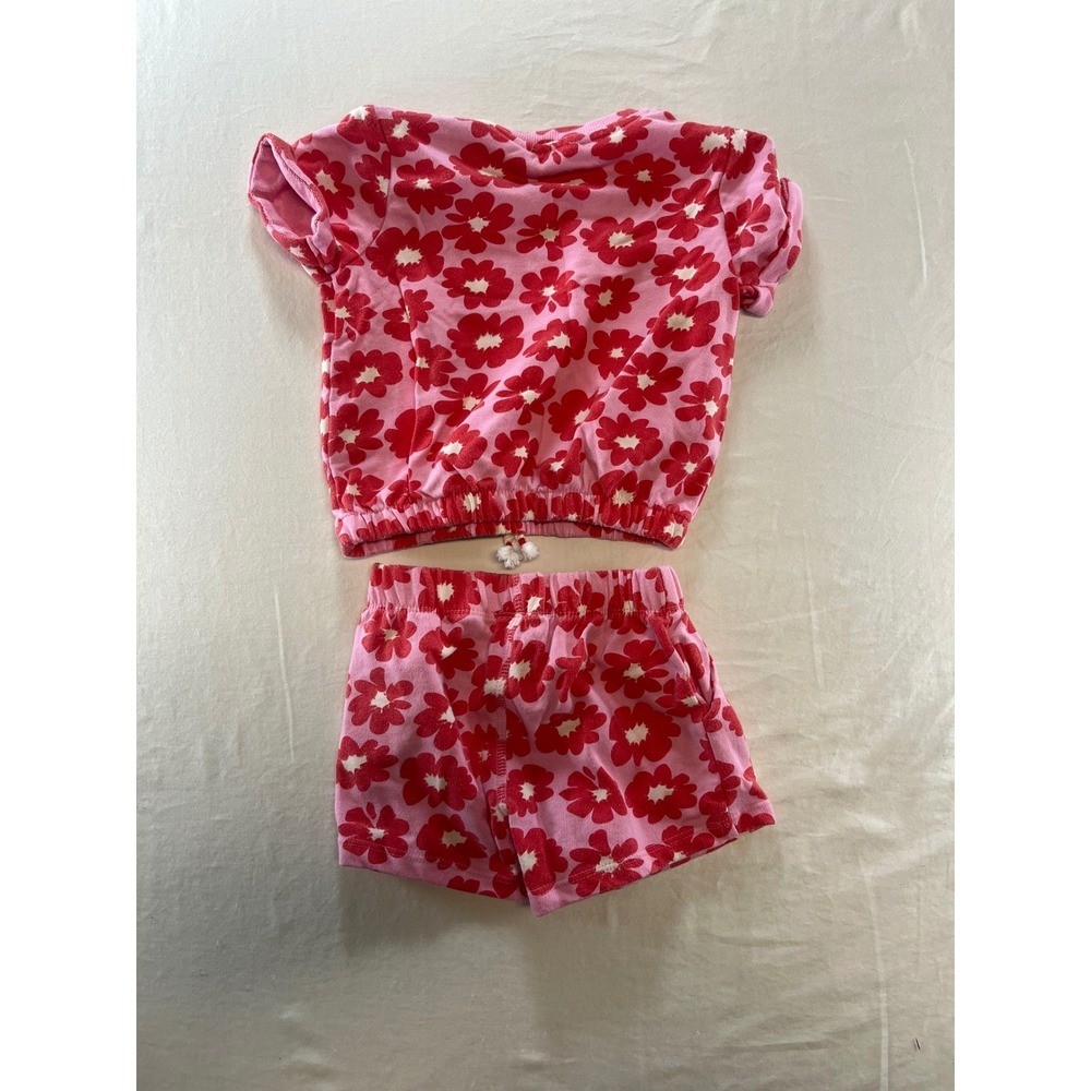 Jessica Simpson Kids Pink Red Flower Print Top Shorts Set 24M