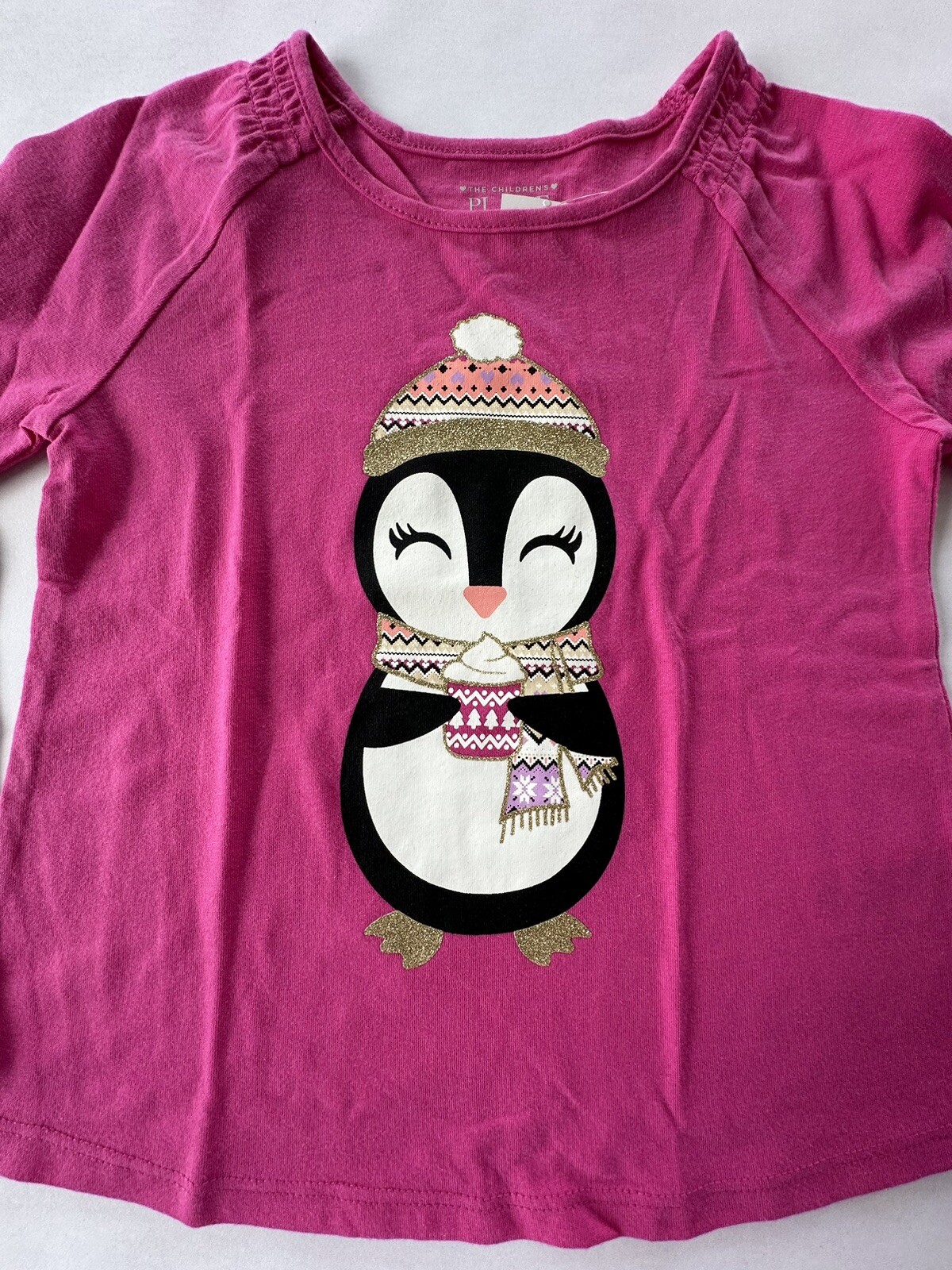The Children’s Place Girl 4T Penguin Top With Fair Isle Leggings Set Winter NWT.