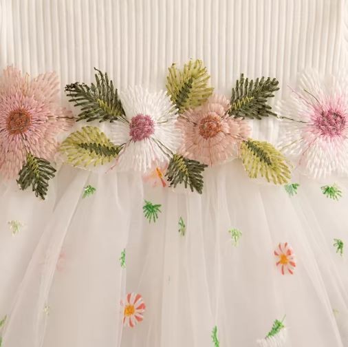 Premium Baby Girl Floral Embroidery Mesh Princess Dress–Long Sleeve| 12-18 Month