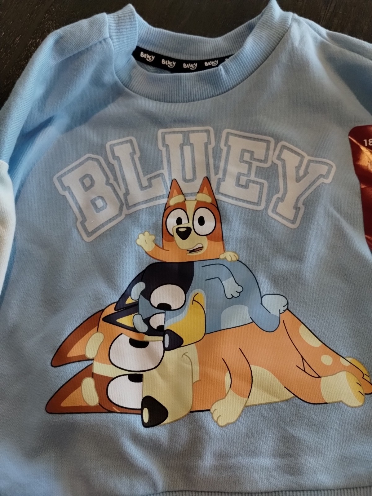 Bluey & Friends 2 Piece French Terry Set (Boys 18 Months) New