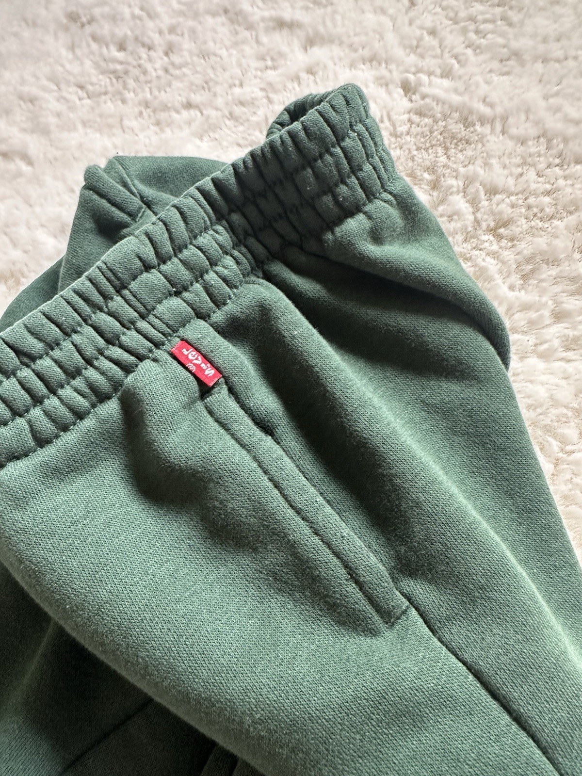 Levi’s Green 2pc Fleece Hoodie & Jogger Pants Set Bear 24M Logo