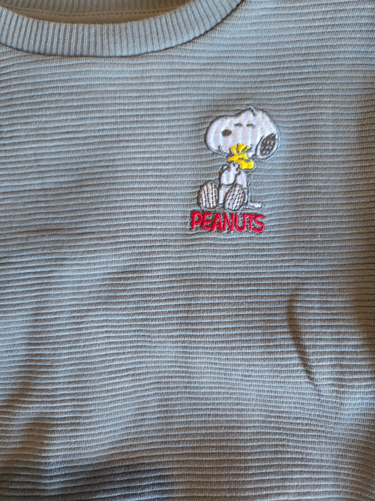 Peanuts Snoopy Outfit Boys Sweatpants and Sweatshirt Infant Gift 18 Months NWT