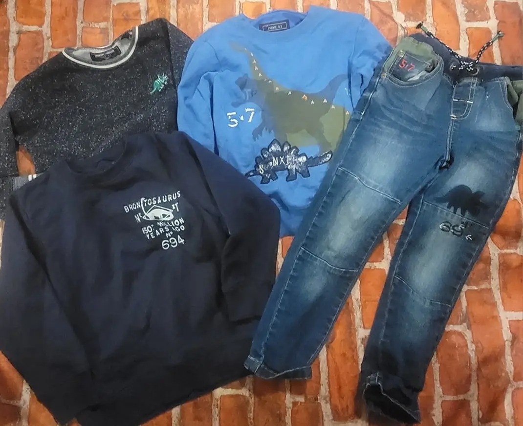 Next Direct Boys Dino Dinosaur Lot Outfit Size 3/4 3 4 One Sweatshirt Is 4/5 4T