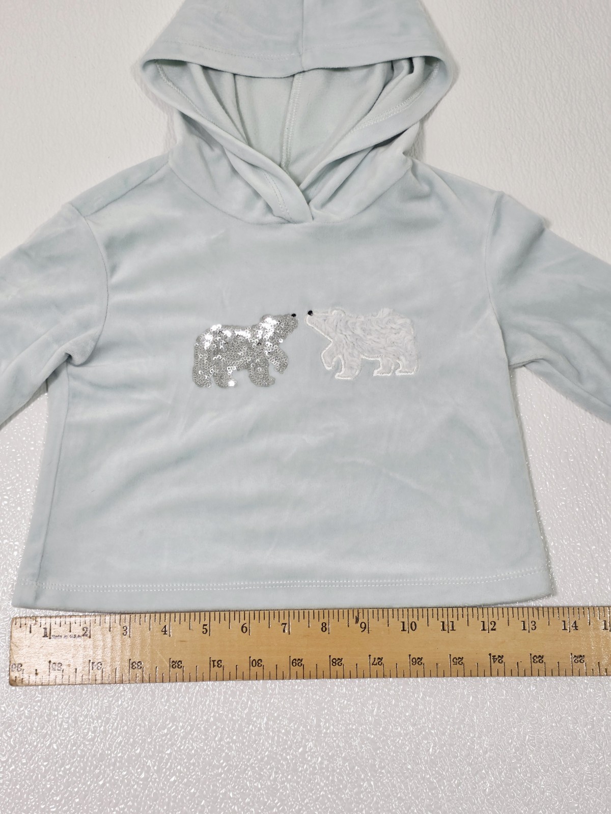 3T light blue velour Hooded sweatshirt and sweatpants set with Polar Bear.