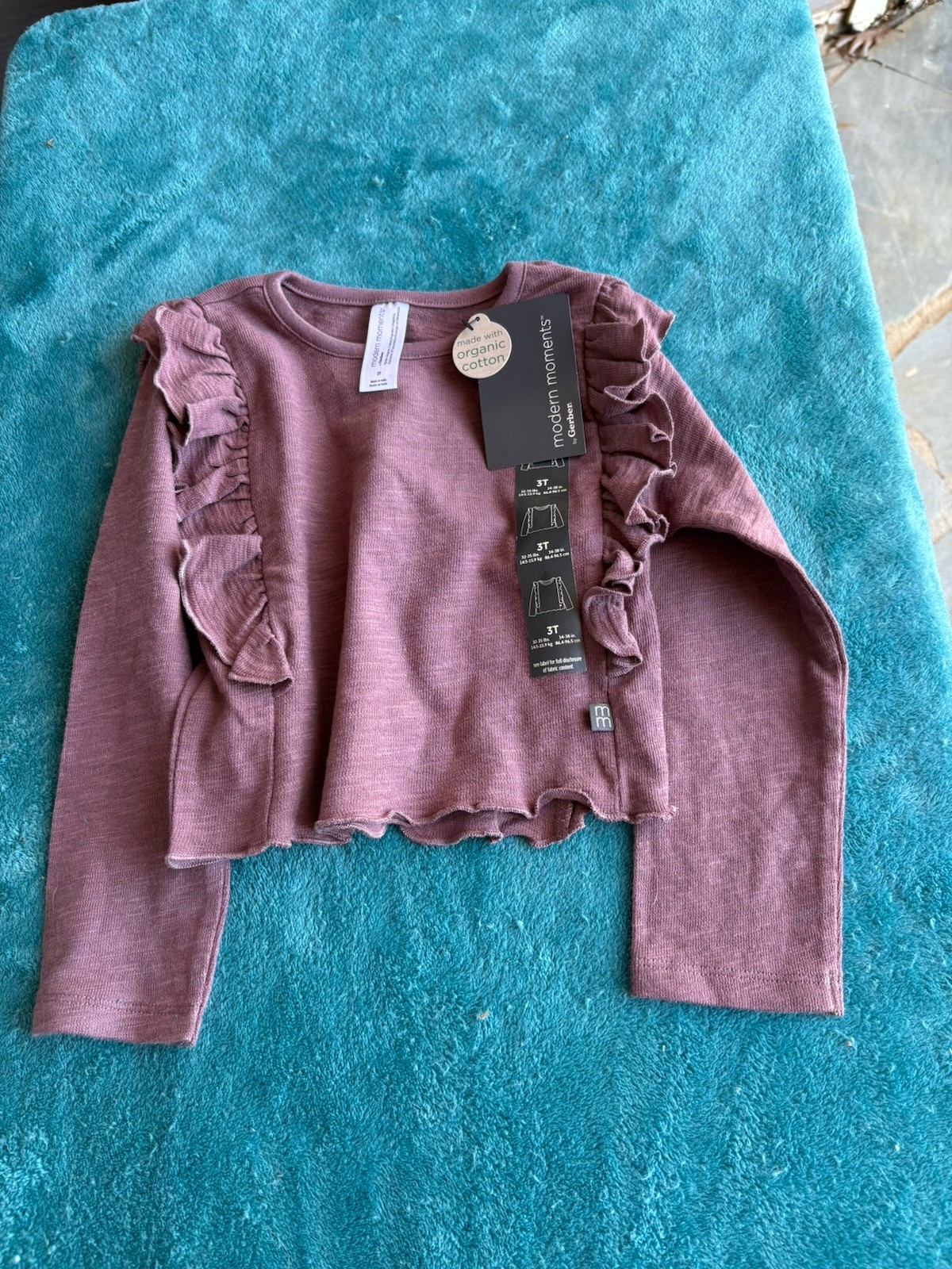 NWT Two Piece Set Modern Moments 2T Pants And 3T Top SKU TR43 Pants Have Horses