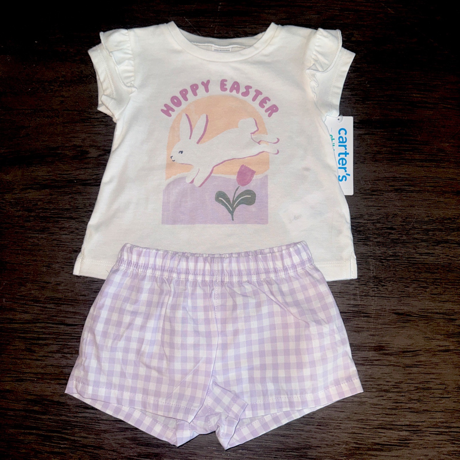 Carter’s Baby Girl Easter 2-Piece Outfit Set Shirt Shorts 3-6 Months New