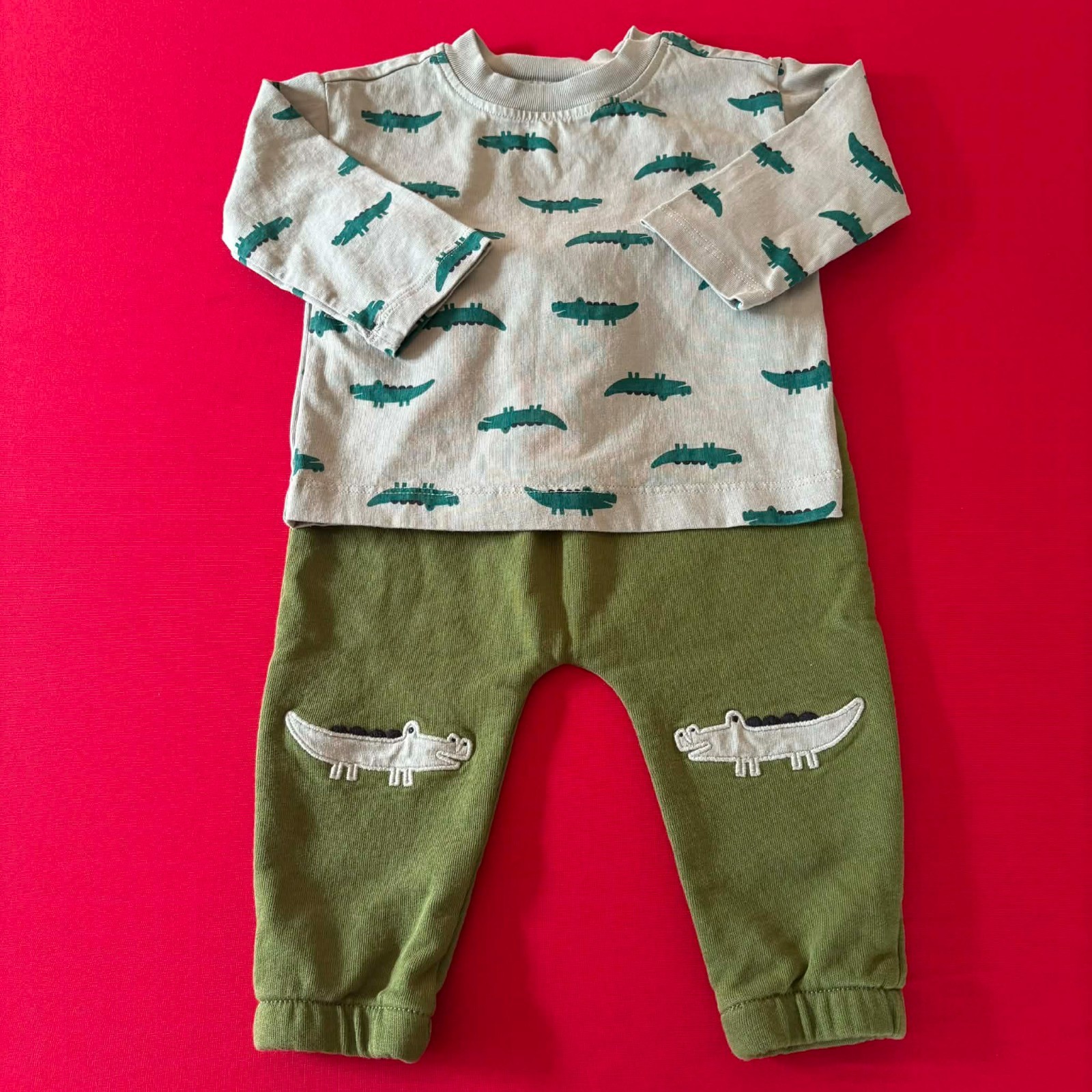 Hanna Andersson T-Shirt & French Terry Sweatpants Set. Size 12-18 Months, 75 cm