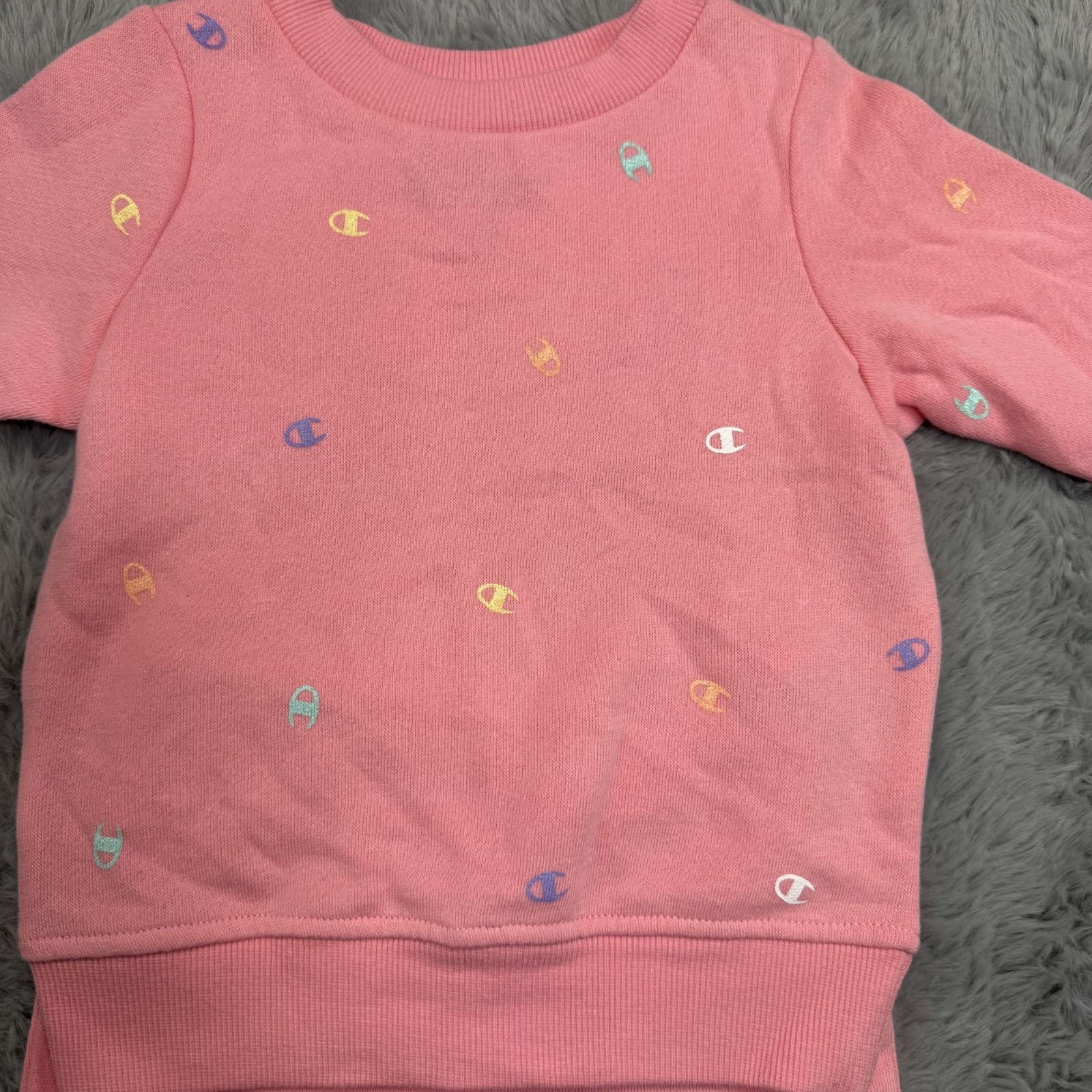 Champion Baby Girls Pink Sweatshirt & Sweatpants Set Size 12M Cotton Blend