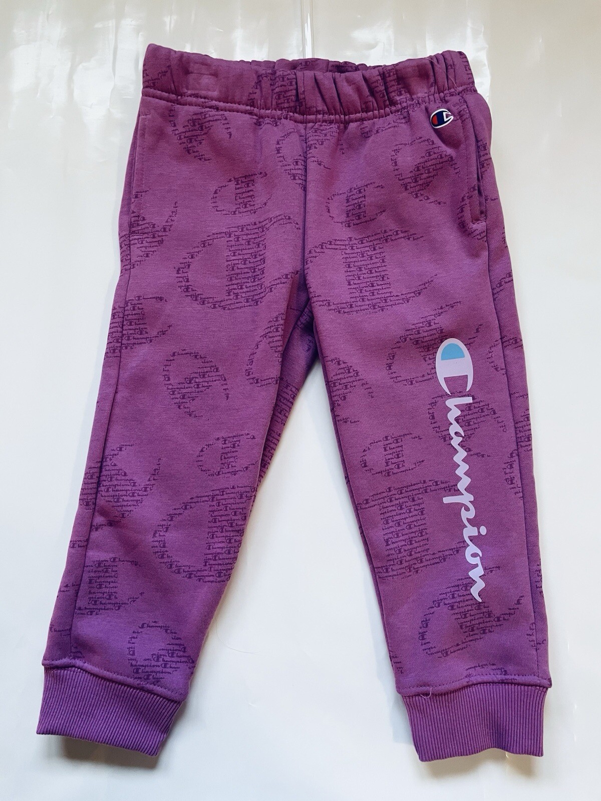 Toddler 3T Girls Rose Bud Purple 2 Pcs Champion Sweatsuit Sweatshirt Joggers Kid