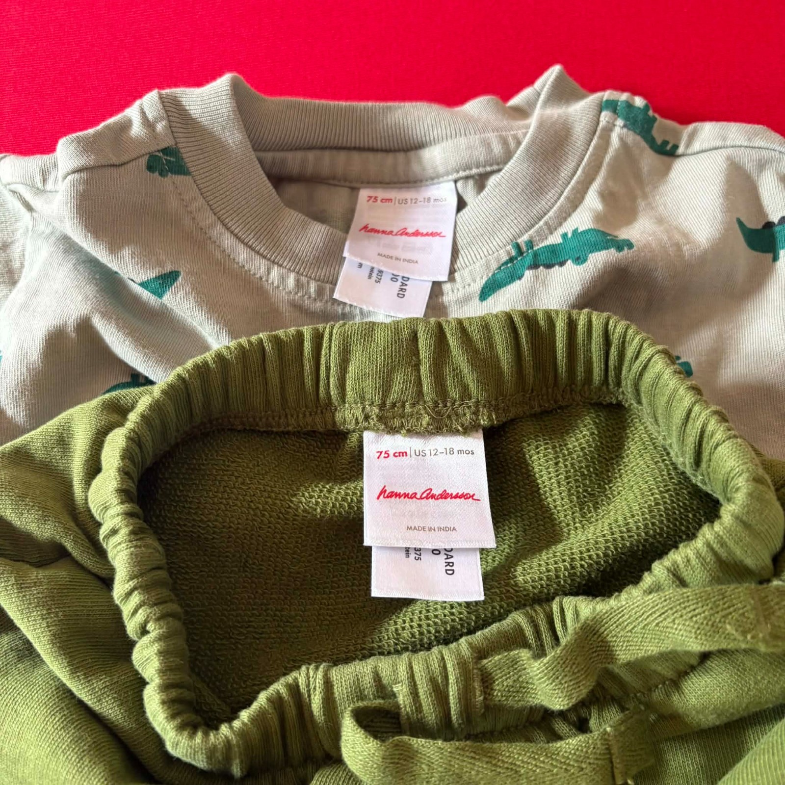 Hanna Andersson T-Shirt & French Terry Sweatpants Set. Size 12-18 Months, 75 cm