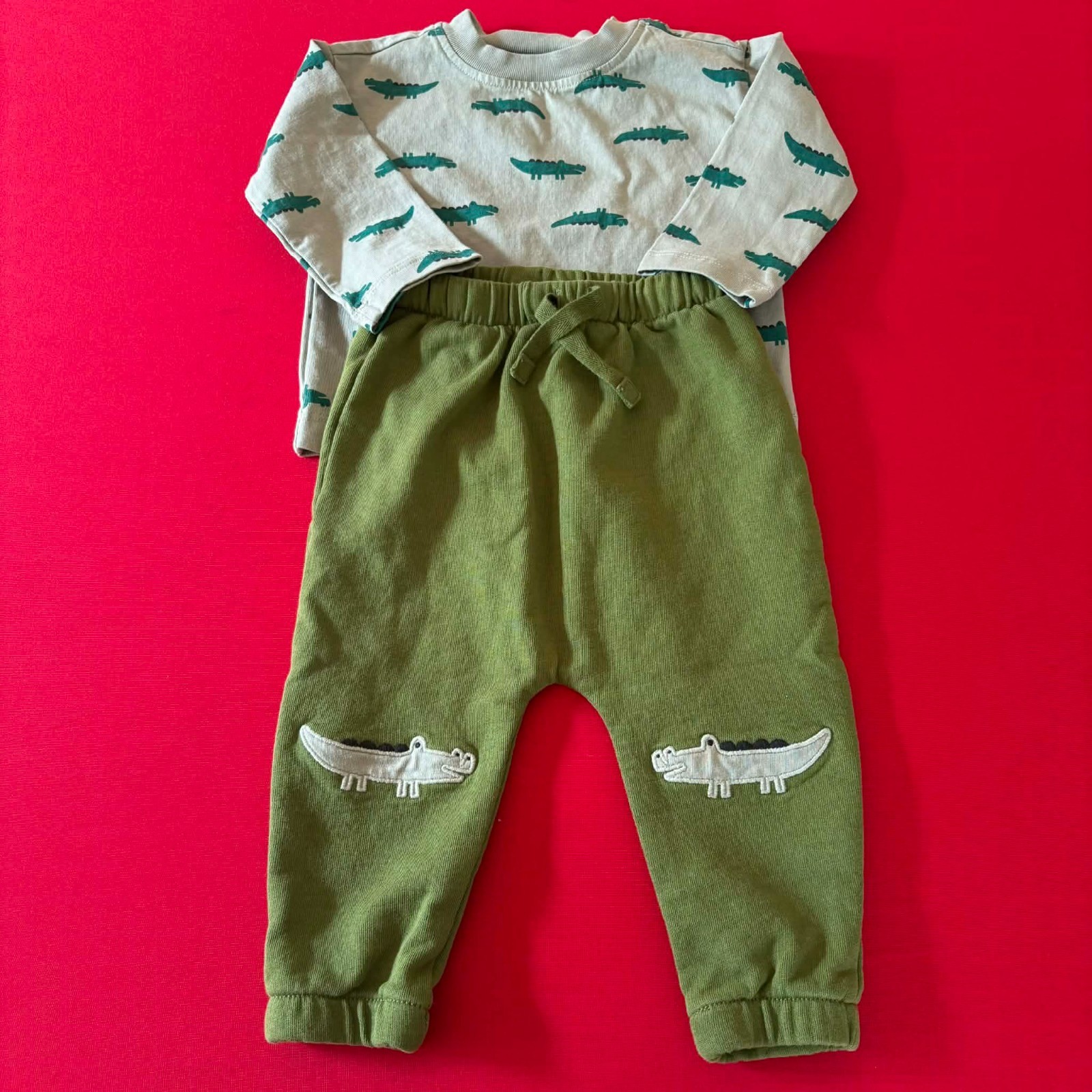 Hanna Andersson T-Shirt & French Terry Sweatpants Set. Size 12-18 Months, 75 cm