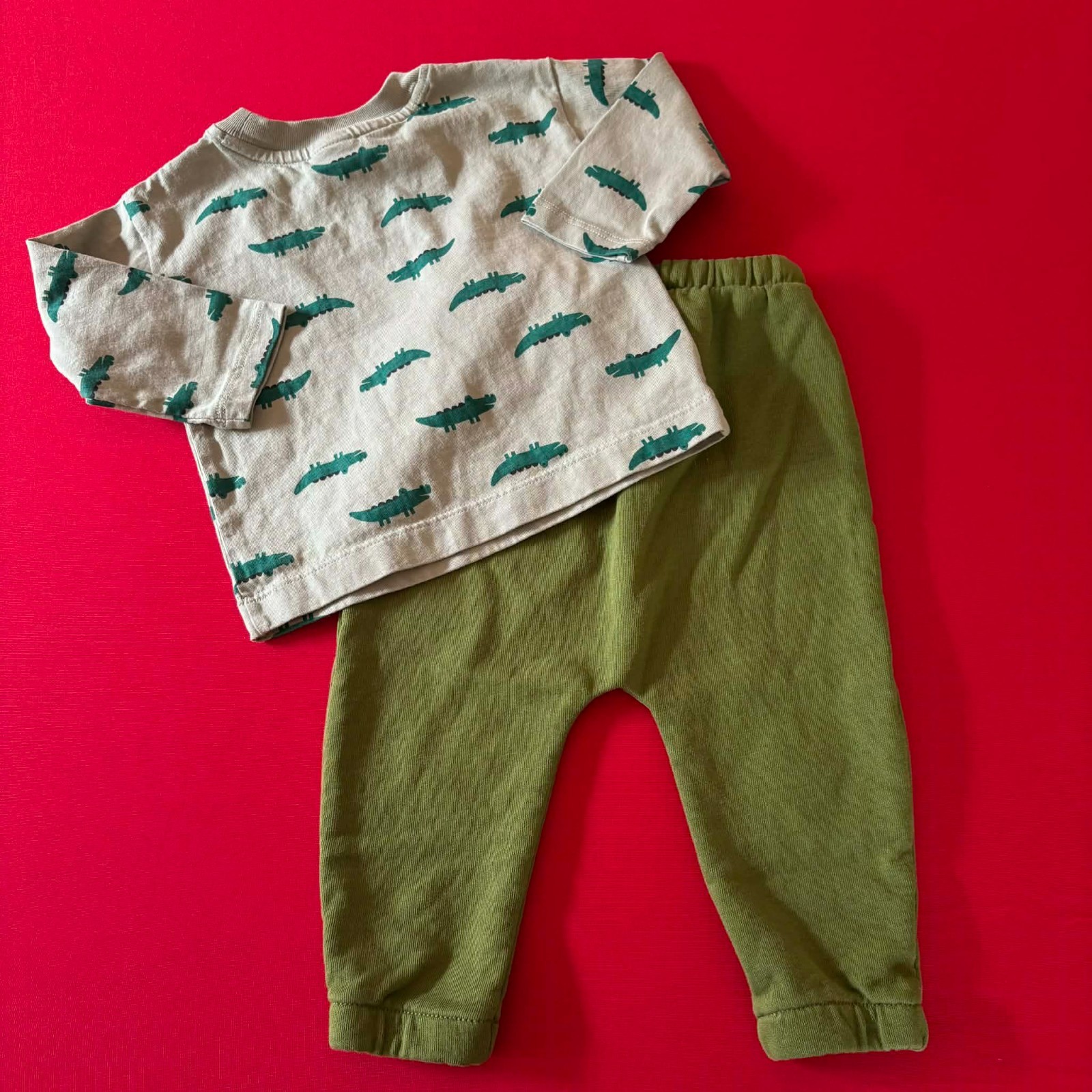 Hanna Andersson T-Shirt & French Terry Sweatpants Set. Size 12-18 Months, 75 cm