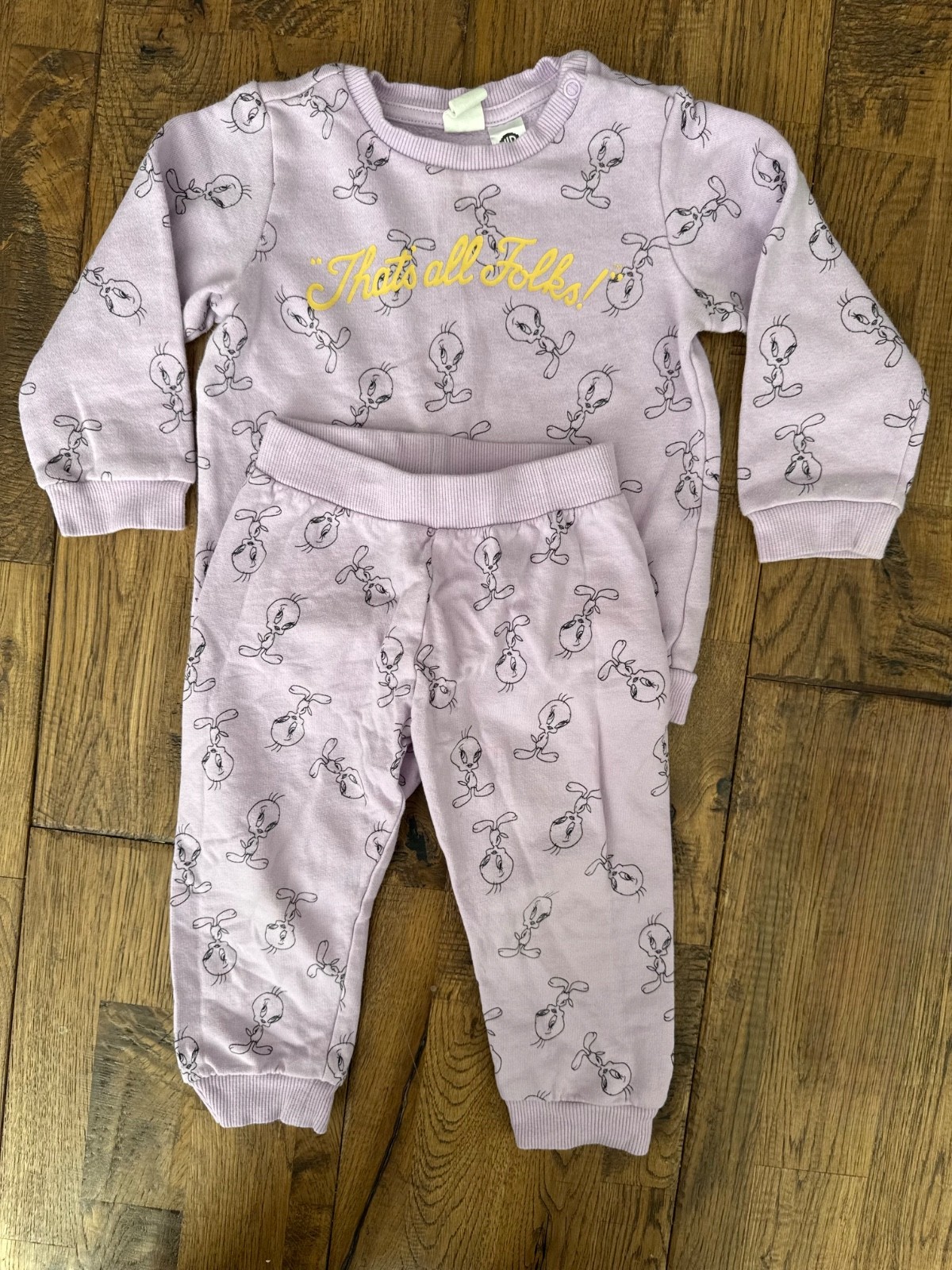 H&M Looney Tunes Lila That’s ALL Folks Sweatshirt Jogger Set Size 12-18 Months G