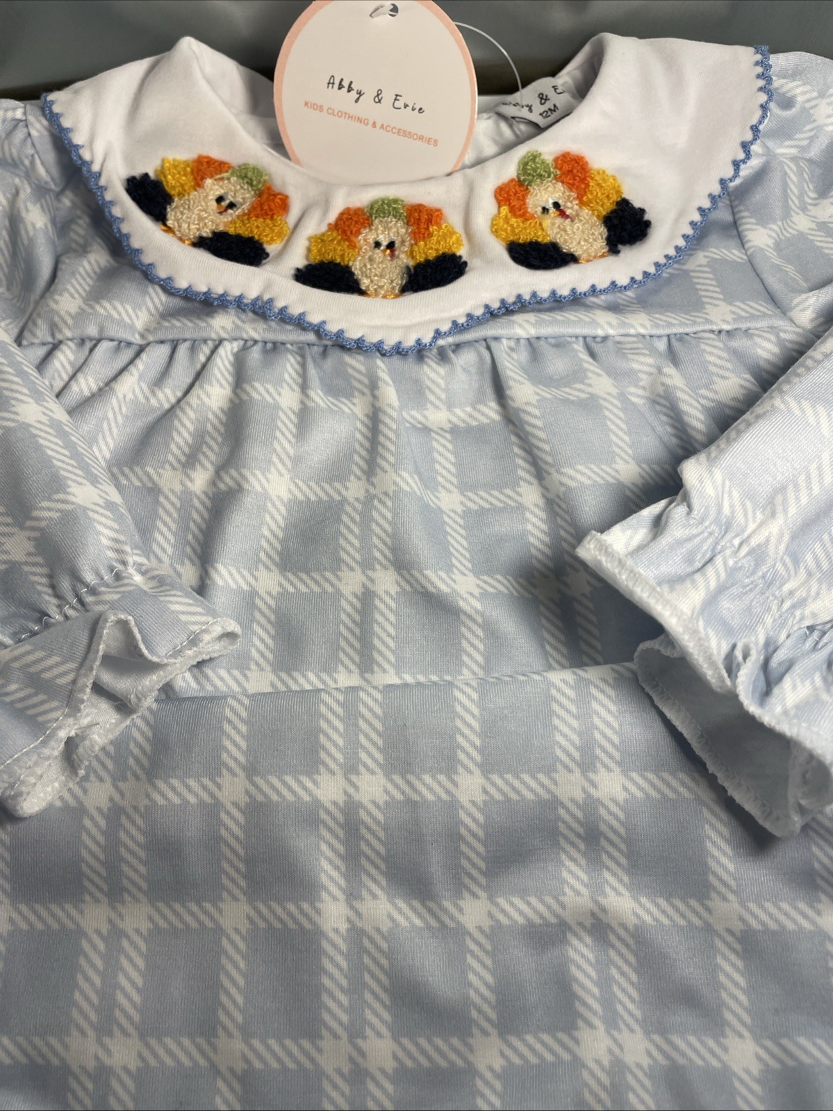Abby & Evie 12M Toddler Light Blue Gingham Embroidered Outfit