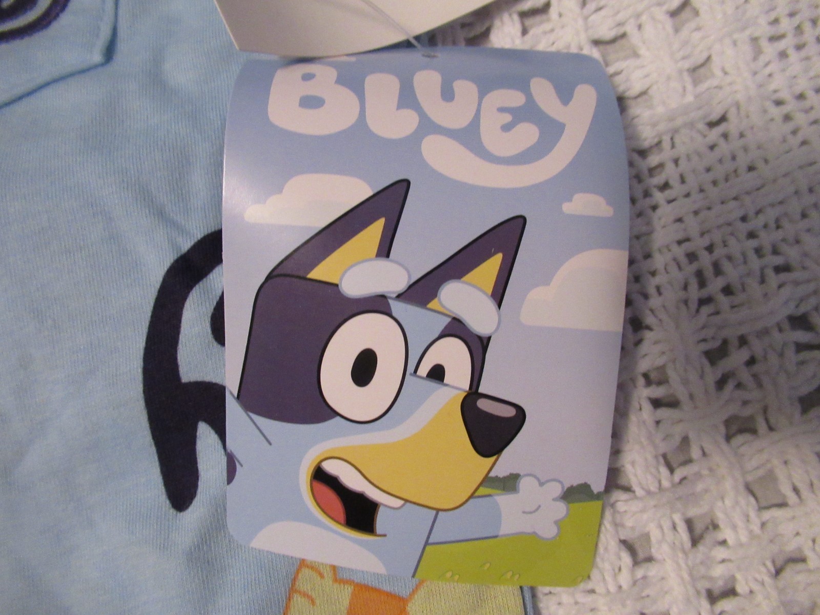 Bluey Pajama Set NWT Size 5T Short Sleeve Tops Drawstring Shorts Toddler