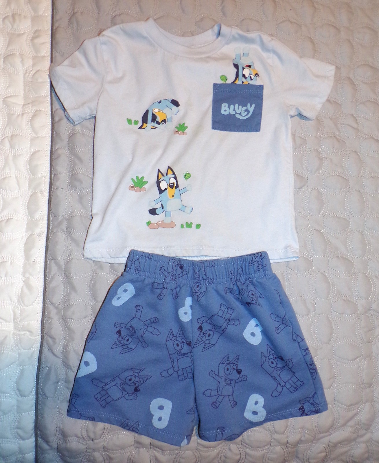 BLUEY 2-Piece Short and T-Shirt Set 3T Cartoon Dog