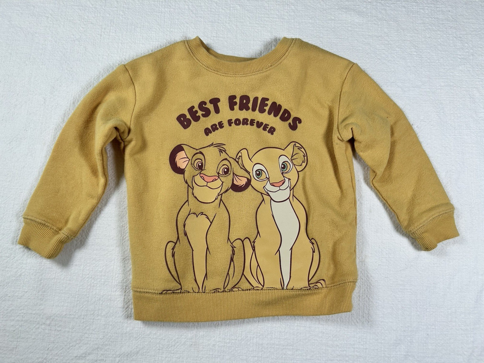 Set of 3 Disney Toddler Clothes, Lion King, Toy Story, Pajamas, Sweater Size 18M